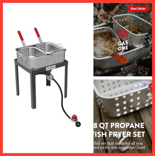 Friggitrice propano doppio - friggitrice,